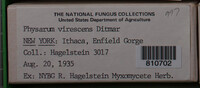 Image Associated With the Occurence